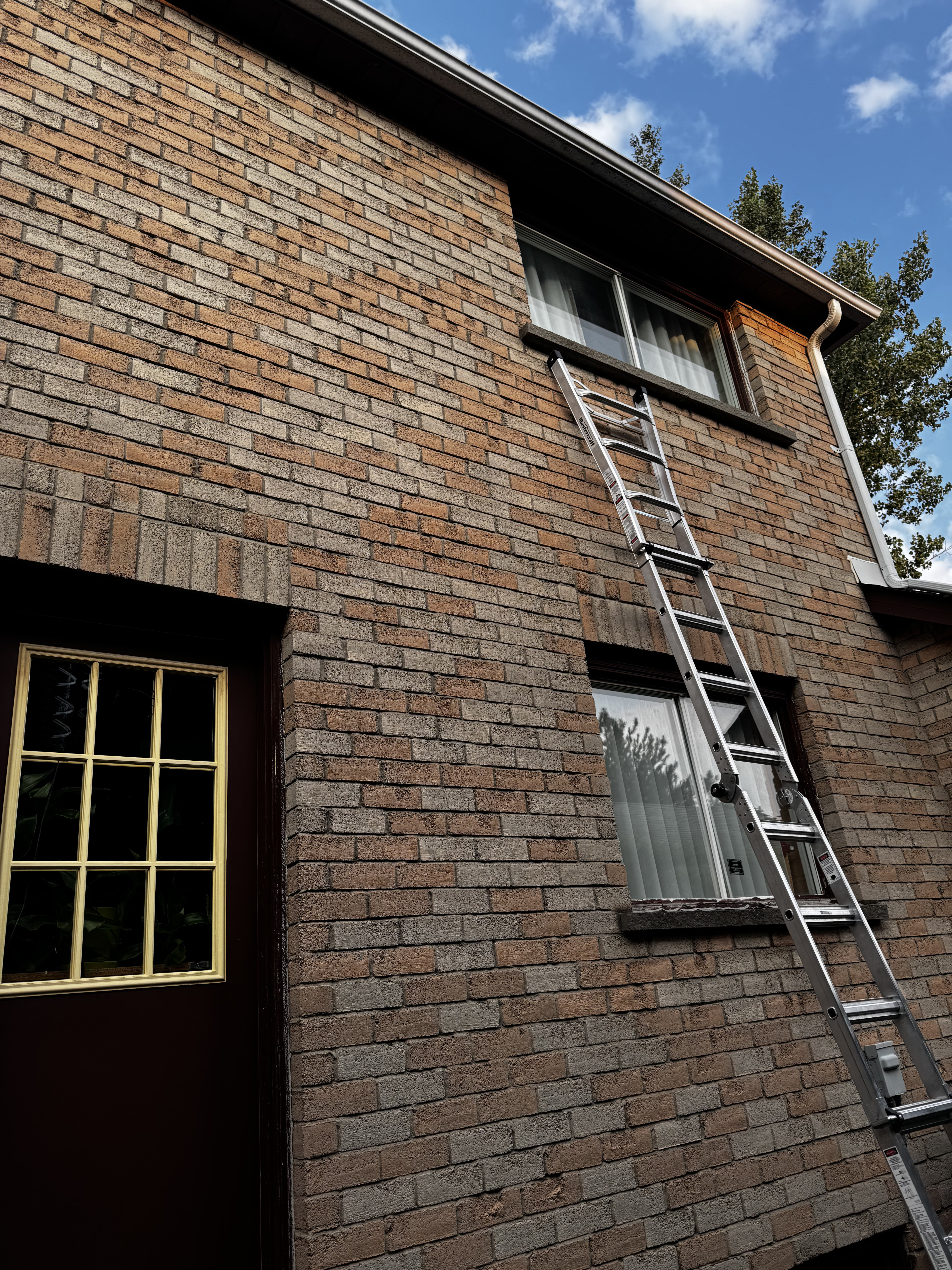 Window cleaning service